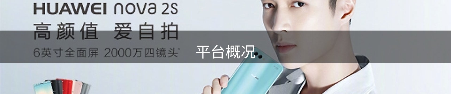 平台概况